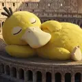 分类信息
